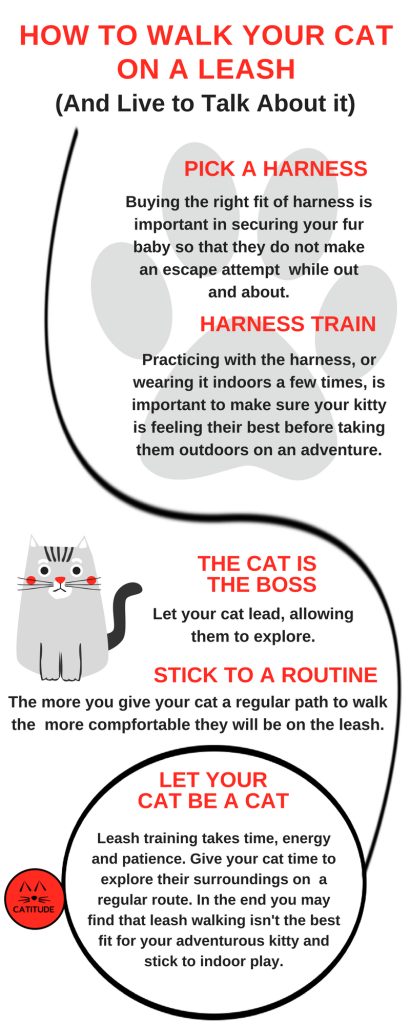 CATITUDE-INFOGRAPHIC-HOW TO WALK YOUR CAT
